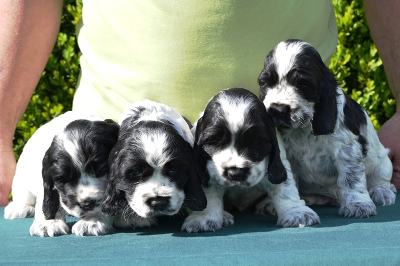 24-Habi, Hanny, Hart, Haidi.JPG